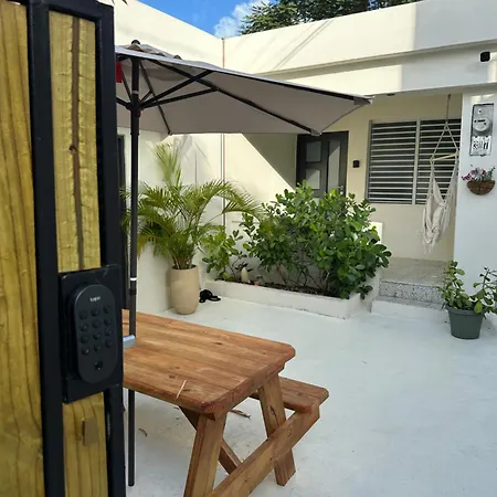 Tropical Studio-3